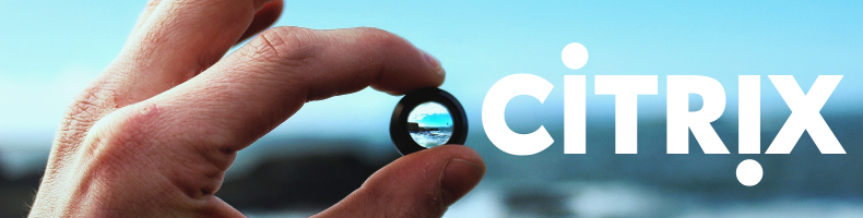 Performance difference of Citrix ICA Visual Quality profiles