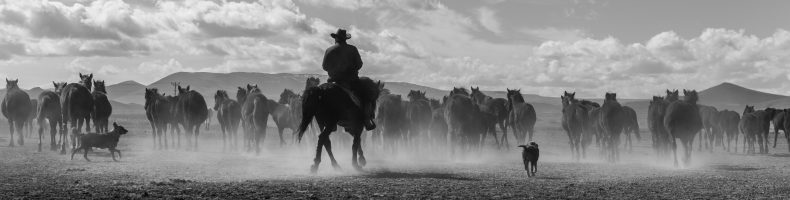 The delivered user experience of thin clients, the good, the bad and the ugly