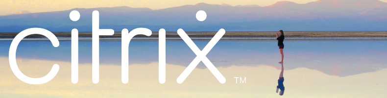 The performance impact of Citrix session watermark