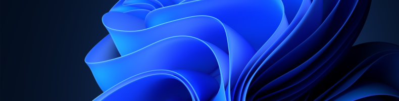 Microsoft Windows 11 VDI performance short