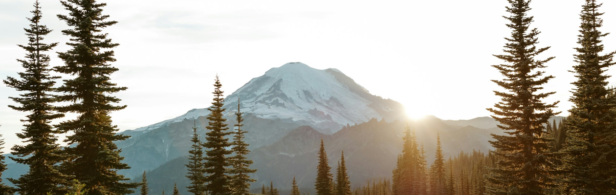 Windows 11 Performance Comparison: 23H2 vs 24H2 vs 25H2 — What’s Really Improved?